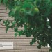Сайдинг Ю-Пласт TIMBERBLOCK Пихта (Тимберблок) Cахалинская купить в Каменск-Уральском