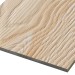 Фиброцементные панели FCSPRO Decor Wood Лиственница купить в Каменск-Уральском