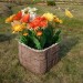Цветник КАНЬОН купить в Каменск-Уральском