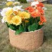 Цветник КАНЬОН купить в Каменск-Уральском